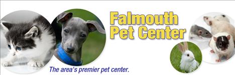 Falmouth Pet Center