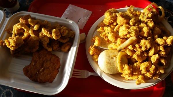 Fisherman's plaster is enough for 3