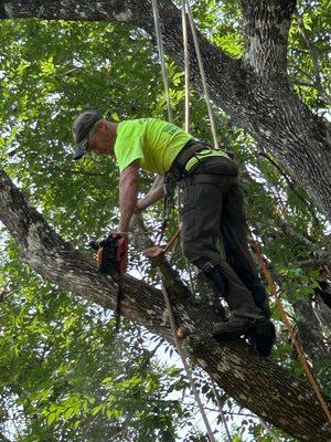Central Florida Tree Pros