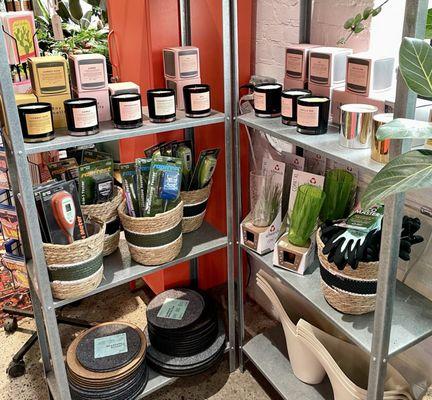 Candles and plant accessories