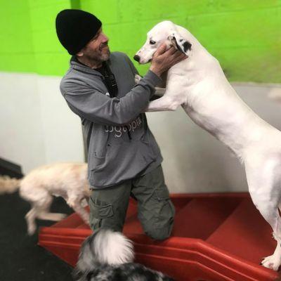 Dogtopia - Birmingham