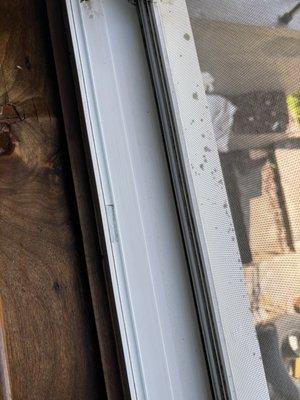 Christian Care Cleaning