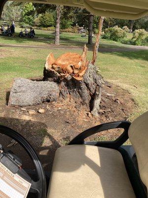 Lewis River Golf Course