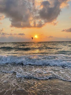 Delores Arcuri - Ken Jones Real Estate