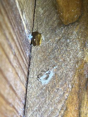 United Propery Associates - Kings Row Apartments