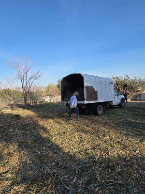 J&J Tree Service & Clean Ups