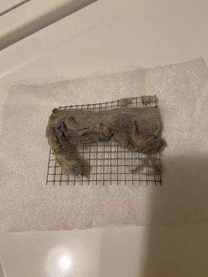 Lint Out Dryer Vent Cleaning