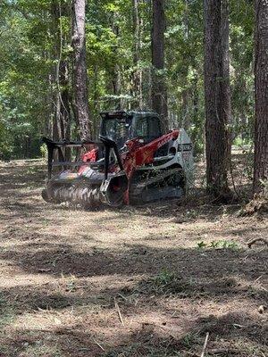 land clearing