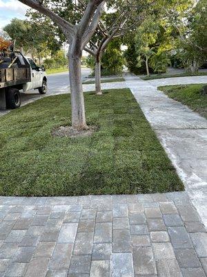 Real Green Sod