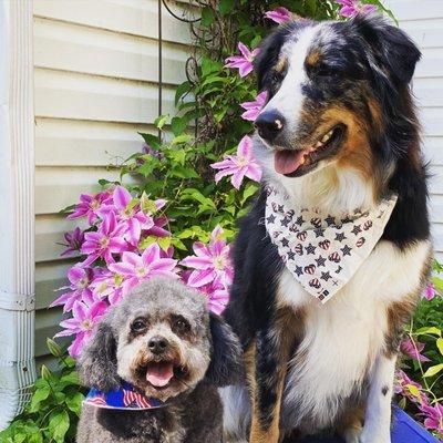 Pretty Girls after their Spa Day