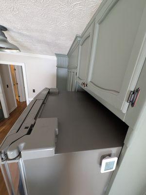 Move in deep clean dusting and wipe down of fridge