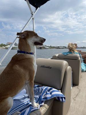 Lost Key Animal Clinic