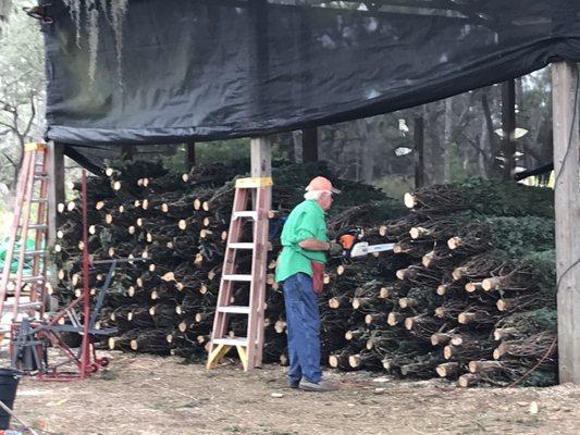 Ergle Christmas Tree Farm