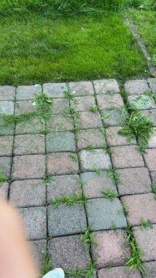 Paola’s Construction and Landscaping