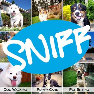 SNIFF Seattle Dog Walkers - Seattle, Bellevue, Redmond, Shoreline, Kirkland, Bothell, Mercer Island, West Seattle & more.