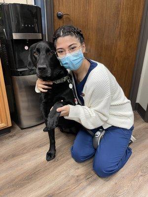 Buckingham-Plano Road Veterinary Clinic