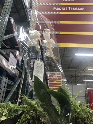 BJ's Wholesale Club Gas Station