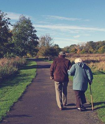 Wayne Geriatrics - Dr. Ayman Daoud, M.D.