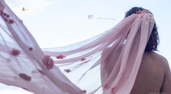 FlySigns Aerial Advertising