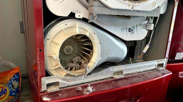 Teodor Appliance Repair