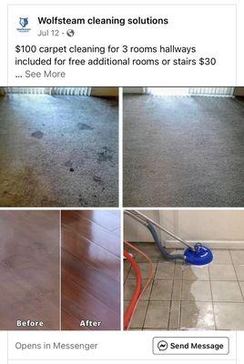 Wolfsteam Cleaning Solutions