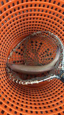 Seafood Paradise Market