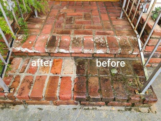Hard Surface Cleaning
Stairs Brick Cleaning