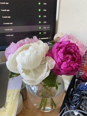 Peonies