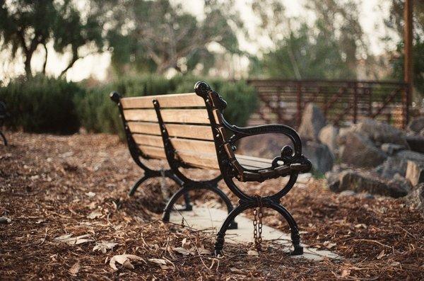 Nelson Photo & Video