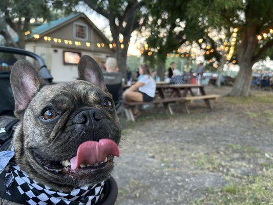 Penny’s Beer Garden