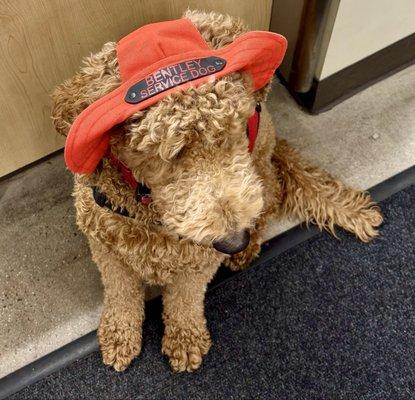 Governors Shoe Repair