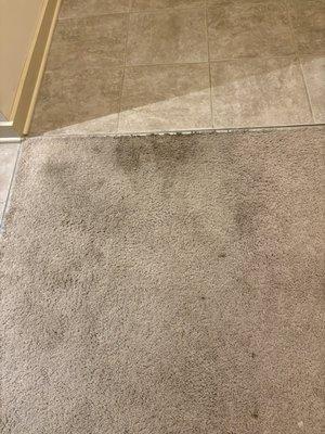 City Walk Apartments