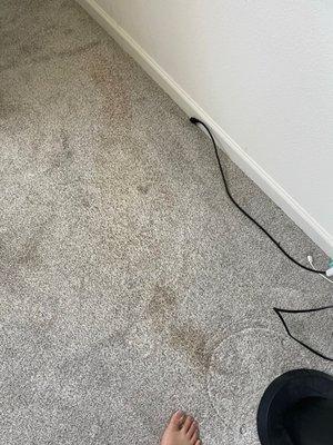 J & Sons Carpet Cleaning