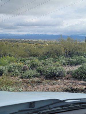 Mata's tree and stump removals