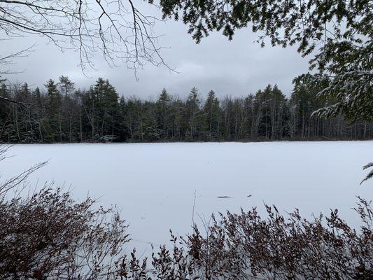 Shaker Woods Reserve