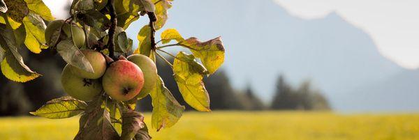 Ralston-Lippincott-Hasbrouck-Ingrassia Funeral Home