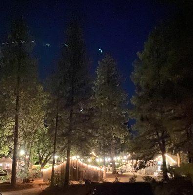 Brice Station Vineyards