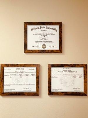 Ari David Insurance Services