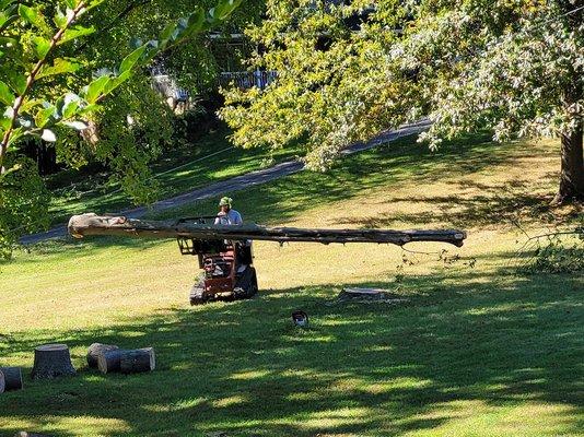 Timber Source Professional Tree Services