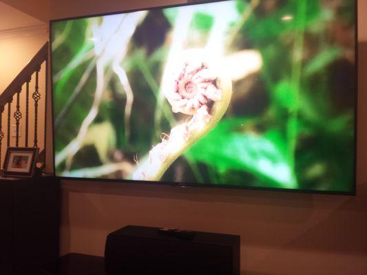 Home Technology Xperts