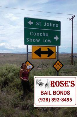bail bonds bail bonds bail bonds jail navajo county apache county coconino county bail bonds bail bonds bail bonds yavapai county gila count