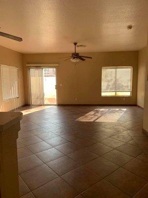 Birds Handyman services