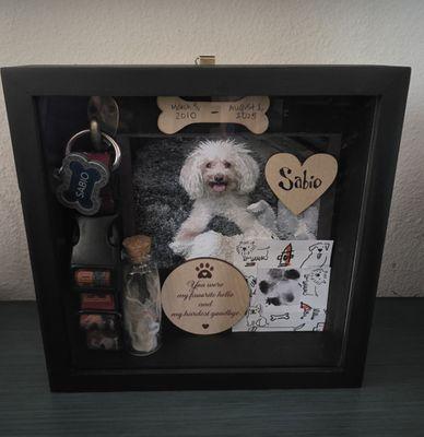 Advanced Mobile Vet Care