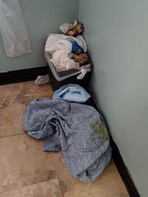 I had to complain constantly about the cleanliness