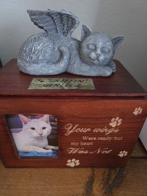 South Omaha Animal Hospital