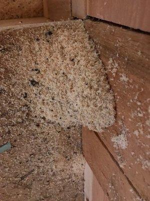 Border Pest Control LLC