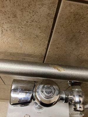 Human waste on handicap railings how will someone help themselves off the toilet w this disgusting Bs