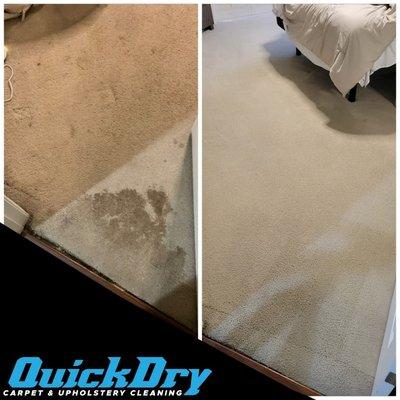 QuickDry Carpet & Upholstery Cleaning