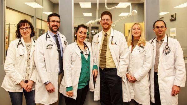 Animal Cancer Care Specialists