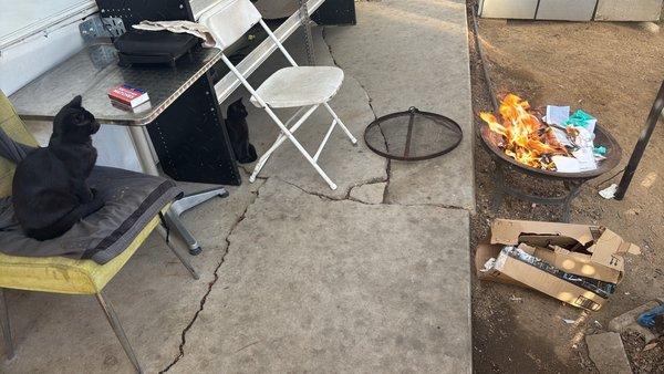 Able Property Management